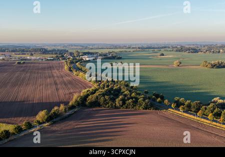 route sinueuse bordée d'arbres coupe à travers des champs verts et bruns sous la lumière douce du matin, mettant en valeur un paysage rural harmonieux d'en haut Banque D'Images