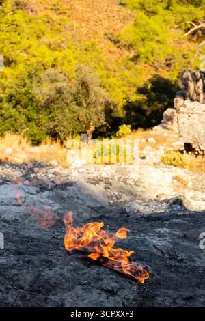 Flamme naturelle sur la surface rocheuse. Fond avec arbres et éléments de paysage. L'accent est mis sur les flammes orange vif. Banque D'Images