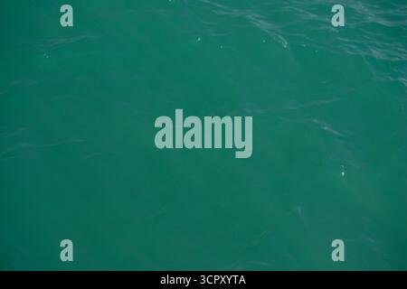 Vue rapprochée de l'eau de mer couleur sarcelle avec des ondulations subtiles. La composition remplit le cadre, mettant en évidence la texture de l'eau. Banque D'Images