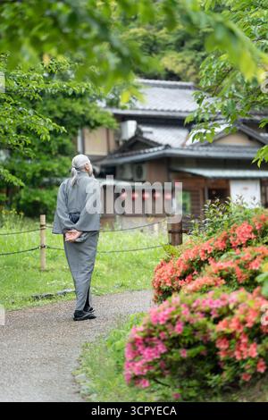 Vue arrière d'un homme âgé portant un kimono traditionnel, marchant dans un jardin japonais tranquille. Kyoto. Banque D'Images