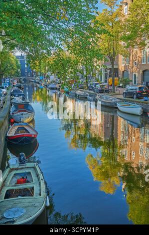 Les arbres au début de l'automne bordent les canaux d'Amsterdam, aux pays-Bas Banque D'Images