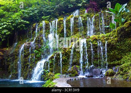 Magnifique cascade de Banyu Wana Amertha. Buleleng, Bali, Indonésie Banque D'Images