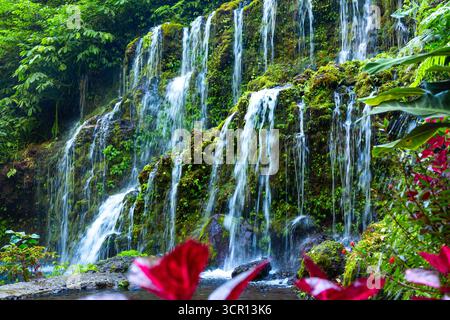 Magnifique cascade de Banyu Wana Amertha. Buleleng, Bali, Indonésie Banque D'Images