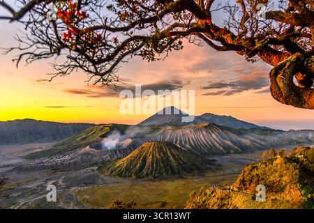 Volcan bromo au lever du soleil dans le parc national bromo Tengger Semeru, Java oriental, Indonésie Banque D'Images