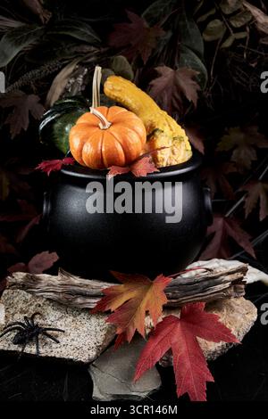 Nature morte d'automne discrète avec un chaudron noir, une mini citrouille et des courges, des feuilles d'érable rouge, du bois flotté et une petite araignée sur un fond sombre Banque D'Images