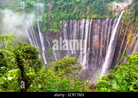 Prise de vue aérienne par drone de la superbe cascade de Tumpak Sewu, East Java, Indonésie. Banque D'Images