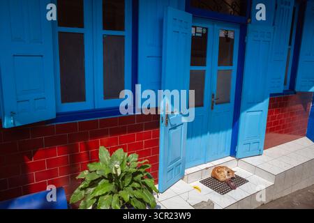 Malang, Indonésie - 12 juillet 2018 : le chat dort devant la maison du village bleu Kampung Biru Arema. Endroit populaire à visiter pour la marche en ville Banque D'Images