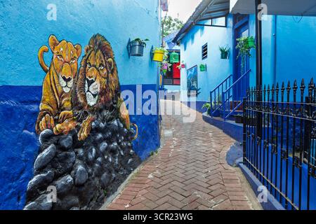 Malang, Indonésie - 12 juillet 2018 : Rue étroite avec logements résidentiels du village de maisons bleues Kampung Biru Arema. Endroit populaire pour visiter la ville Banque D'Images
