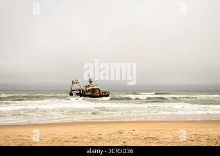 Le naufrage du Zeila au large de la Skeleton Coast de Namibie, rouillant dans l'Atlantique surf sous un ciel nuageux avec des oiseaux de mer perchés sur son cadre. Banque D'Images