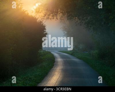 Lever de soleil d'automne brumeux, sentier menant à Radley Boathouse et à la Tamise. C'est ne de ma rangée préférée d'arbres, n'importe où. Et il se trouve que c'est dans mon village natal de Radley dans l'Oxfordshire, en Angleterre. Il est proche de la Tamise, sujet aux inondations et aussi au brouillard qui monte de la rivière. Il parvient à paraître joli tout au long de l'année - et en particulier ici un matin d'automne brumeux et trouble, juste après le lever du soleil. Banque D'Images