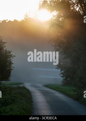 Lever de soleil d'automne brumeux, sentier menant à Radley Boathouse et à la Tamise. C'est ne de ma rangée préférée d'arbres, n'importe où. Et il se trouve que c'est dans mon village natal de Radley dans l'Oxfordshire, en Angleterre. Il est proche de la Tamise, sujet aux inondations et aussi au brouillard qui monte de la rivière. Il parvient à paraître joli tout au long de l'année - et en particulier ici un matin d'automne brumeux et trouble, juste après le lever du soleil. Banque D'Images