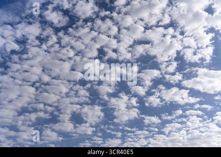 Nuages patchy haute résolution sur fond de ciel bleu. Banque D'Images