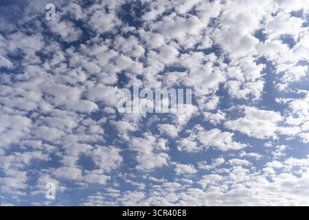 Nuages patchy haute résolution sur fond de ciel bleu. Banque D'Images