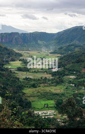 Vallée verdoyante entourée de hautes montagnes sous un ciel nuageux. Vallée Harau de Sumatra Ouest, Sumatra, Indonésie Banque D'Images