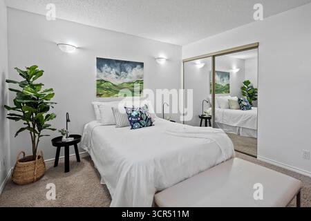 Chambre avec un lit blanc, une commode blanche et un miroir blanc. La chambre est décorée avec une plante verte et une peinture sur le mur. L'humeur du ro Banque D'Images