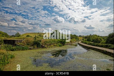 Bassin du canal désaffecté au bas de l'escalier de l'écluse abandonnée avec le canal menant à l'aqueduc Prestolee, Bolton, Greater Manchester. Banque D'Images
