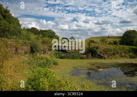 Bassin de canal désaffecté au fond de l'escalier des écluses du canal Prestolee, Nob Eng, Bolton, Greater Manchester. Banque D'Images