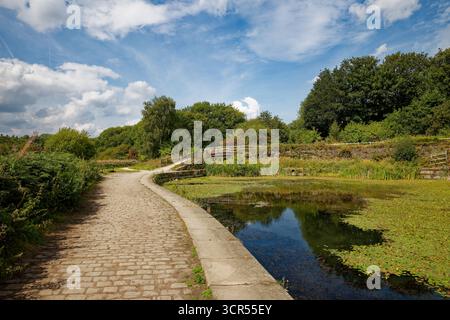 Le chemin de halage courbe autour des eaux remplies de mauvaises herbes du bassin désaffecté au bas de l'escalier de l'écluse près de Prestolee, Bolton, Greater Manchester. Banque D'Images