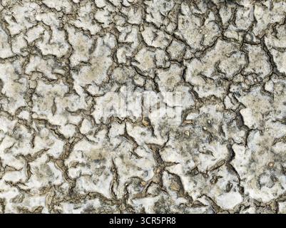 Vue aérienne de la terre cuite au soleil se fissure en motifs polygonaux desséchés de blanc blanchi et brun poussiéreux, un rappel brutal du paysage aride, Bay o Banque D'Images