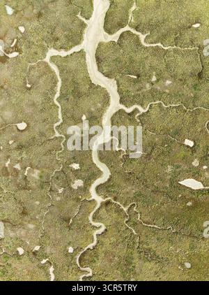 Vue aérienne d'une rivière sinueuse serpentant à travers les marais verdoyants, ses eaux pâles sculptant un chemin à travers le paysage, baie de Cádiz, Cádiz provi Banque D'Images