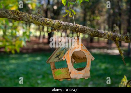 Nichoir en bois peint coloré accroché à la branche d'arbre entouré de feuilles vertes luxuriantes, nichoir décoratif pour les oiseaux dans le jardin d'été nature env Banque D'Images