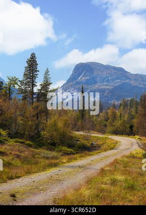 La route sinueuse serpente à travers une verdure vibrante et des montagnes majestueuses, avec un ciel bleu clair au-dessus, invitant à l'exploration et à l'appréciation du b naturel Banque D'Images