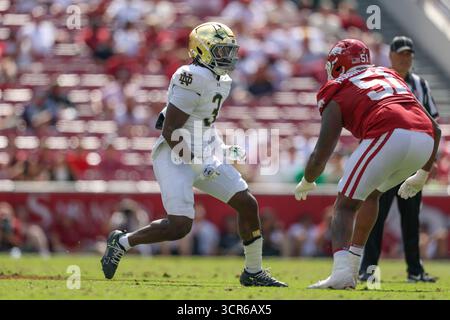 27 septembre 2025 : Jaylen Sneed (3), notre Dame Fighting Irish, réagit lors d'un match entre les notre Dame Fighting Irish et les Arkansas Razorbacks au Donald W. Reynolds Razorback Stadium à Fayetteville, Arkansas. Freddie Beckwith pour Texarkana Gameday/Cal Sport Media Banque D'Images