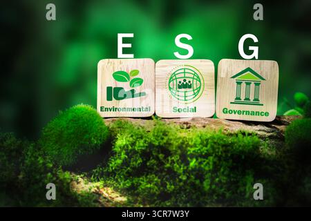 Lettres d'imprimerie en bois ESG avec des icônes environnementales, sociales, de gouvernance sur fond vert, symbolisant l'entreprise durable, l'éco-responsabilité, l'éthique Banque D'Images