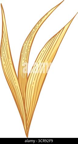 Eléments d'automne vectoriels dessinés à la main. Feuilles d'automne, champignons, érable, glands, baies, chêne, citrouilles. Temps de récolte. Illustration tendance colorée automne flo Illustration de Vecteur