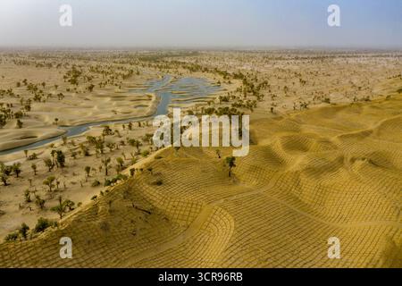 (250930) -- YULI, 30 septembre 2025 (Xinhua) -- une photo de drone aérien prise le 19 septembre 2025 montre une vue de la rivière Tarim, populus euphratica sauvage et damiers de paille dans le comté de Yuli, préfecture autonome mongole de Bayingolin, région autonome ouïgoure du Xinjiang, au nord-ouest de la Chine. Le fleuve Tarim, qui longe le bord du bassin aride du Tarim, est le plus long fleuve intérieur de Chine, couvrant une zone de drainage de 1,02 millions de kilomètres carrés. Serpentant le long de la rive nord du désert de Taklimakan, la rivière nourrit environ 15 millions de mu (1 million d'hectares) de populus euphratica fo Banque D'Images