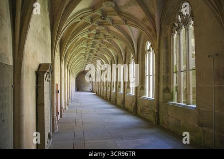 Monastère de Bebenhausen, cloître gothique, bâtiment sacré, bâtiment historique, architecture, ancienne abbaye cistercienne, monastère médiéval, bâtiment classé Banque D'Images