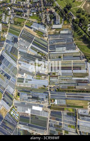 Vue aérienne, fermes horticoles et utilisation agricole dans le district de Volmerswerth, formes et couleurs avec représentation graphique, Volmerswerth, D. Banque D'Images
