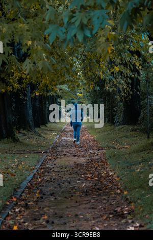 Personne marchant sur un chemin d'avenue bordée d'arbres couvert de feuilles d'automne tombées à l'intérieur des jardins du musée Serralves (Parque de Serralves), Porto Banque D'Images