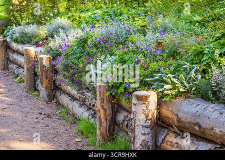 Jardin avec aménagement paysager fantastique, patio, plantes résistantes à la sécheresse Banque D'Images