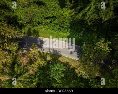 Vue aérienne par drone d'une route à travers une plantation verdoyante d'huile de palmier à Sabah, Bornéo. Banque D'Images