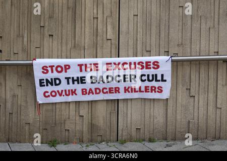 Liverpool, Royaume-Uni. 30 septembre 2025. Bannière d'abattage du blaireau le jour 3 de la conférence du Parti travailliste au Centre des congrès ACC à Liverpool. Crédit : ken biggs/Alamy Live News Banque D'Images