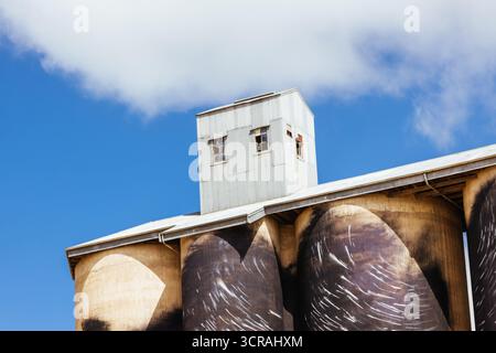 SHEEP HILLS, AUSTRALIE - SEPTEMBRE 27 2025 : murale de silo GrainCorp Sheep Hills Silo Art sur le Silo Art Trail un jour de printemps ensoleillé dans la Wimmera Malle Banque D'Images