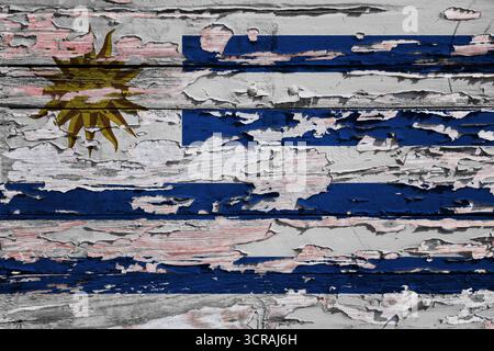 Drapeau de l'Uruguay peint sur une planche de bois grunge. Banque D'Images