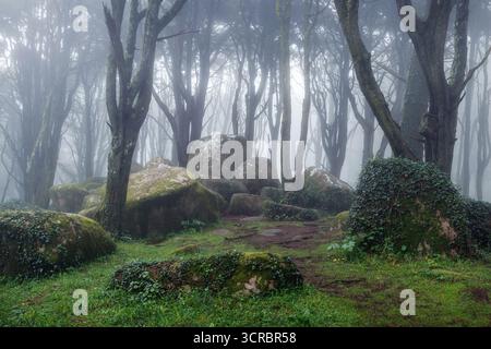 Affleurement rocheux dans la forêt des montagnes de Sintra au Portugal, entouré de brouillard. Banque D'Images