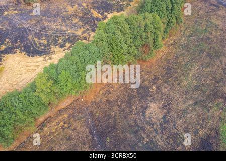 Une vue aérienne d'un feu de forêt fait suite au concept d'un dommage environnemental Banque D'Images