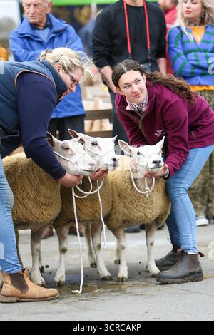 40th Masham Sheep Fair, Masham, North Yorkshire, Angleterre Banque D'Images