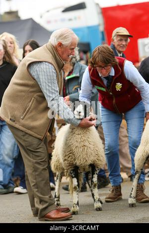 40th Masham Sheep Fair, Masham, North Yorkshire, Angleterre Banque D'Images