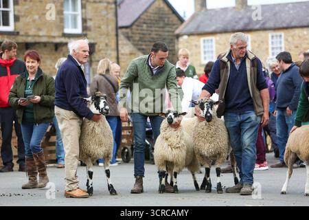 40th Masham Sheep Fair, Masham, North Yorkshire, Angleterre Banque D'Images