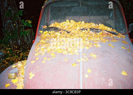 Photo analogique de nuit d'un coléoptère VW abandonné sous un arbre, couvert de feuilles jaunes. Sale, immobile, éclairé par flash — relique silencieuse du passé. Banque D'Images