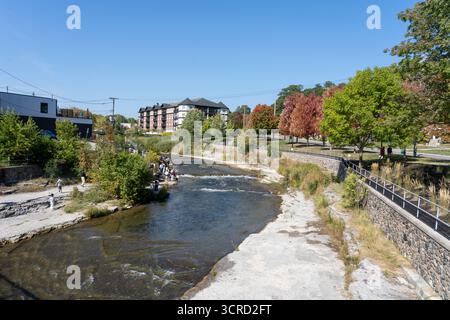 Des milliers de saumons quinnat et coho nagent en amont du lac Ontario dans la rivière Ganaraska pour frayer en septembre. Port Hope, Ontario, Canada Banque D'Images