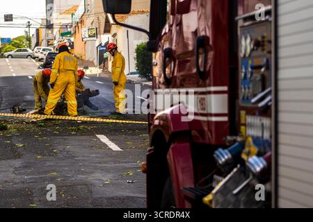 Marilia, SP, Brésil, 22 septembre 2025. Des pompiers en tenue de protection jaune dégagent un arbre tombé d'une rue dans le centre-ville de Marilia Banque D'Images