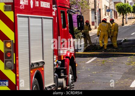 Marilia, SP, Brésil, 22 septembre 2025. Des pompiers en tenue de protection jaune dégagent un arbre tombé d'une rue dans le centre-ville de Marilia Banque D'Images
