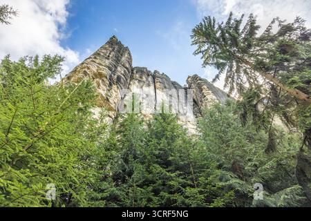 Rochers Adrspach-Teplice, formations de grès dans la région de Hradec Kralove en République tchèque, Europe. Des formations rocheuses saisissantes s'élèvent au-dessus de Lush Banque D'Images
