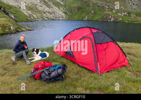 camping avec chien et tente rouge en haute montagne Banque D'Images