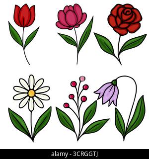 Une charmante collection de six illustrations florales vectorielles distinctes, avec une tulipe rouge éclatante, une pivoine rose foncé, une rose rouge classique, un wh délicat Illustration de Vecteur